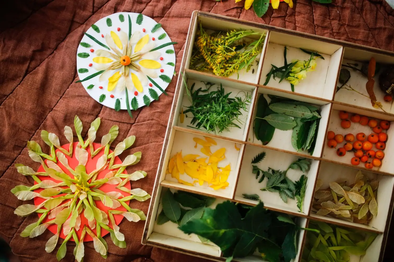 Miejsce do suszenia kwiatów: organizacja pracowni florystycznej