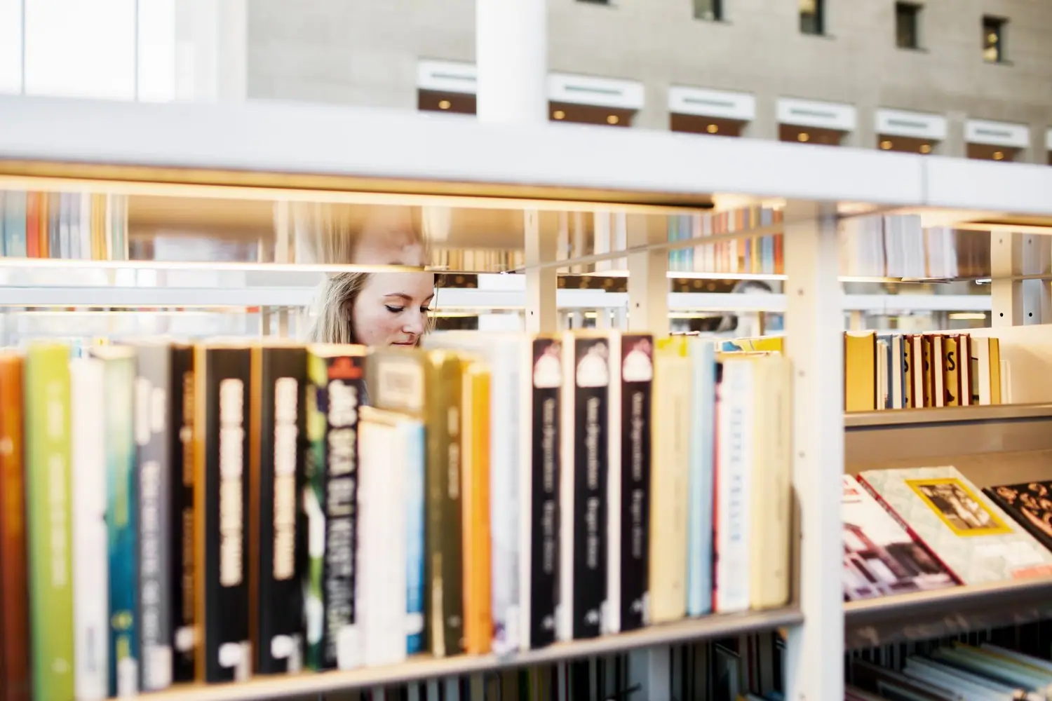 Strefa do przechowywania komiksów: kolekcjonerska biblioteczka